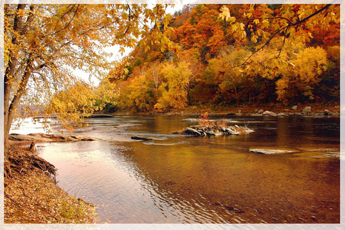 tai-sao-washinton-hut-khach-tham-quan-02