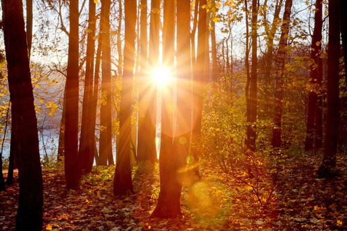 tham-vang-mua-thu-o-cac-nuoc-bac-ban-cau