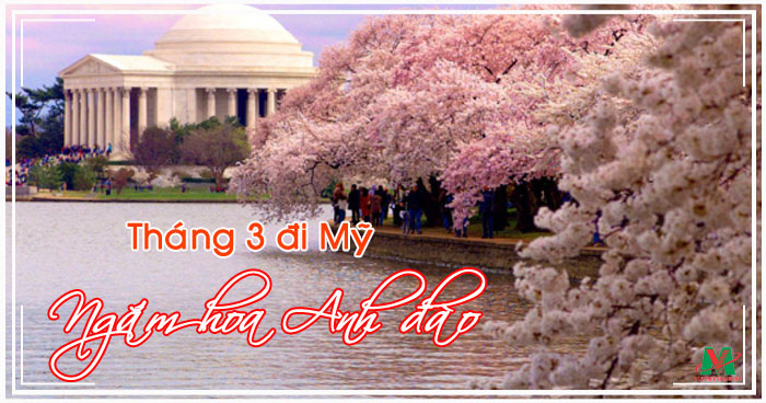 thang-3-di-my-ngam-hoa-anh-dao