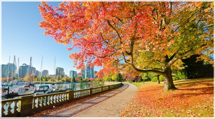 Tôi Kể Bạn Nghe Về Mùa Thu Canada