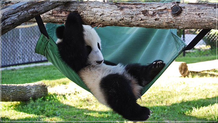 Trải nghiệm du lịch Canada có 1 không 2