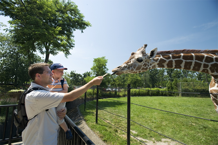 Trải nghiệm hè tuyệt vời tại New Buffalo