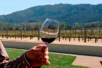 Thử Rượu Ngay Trong Vườn Nho Ở Napa