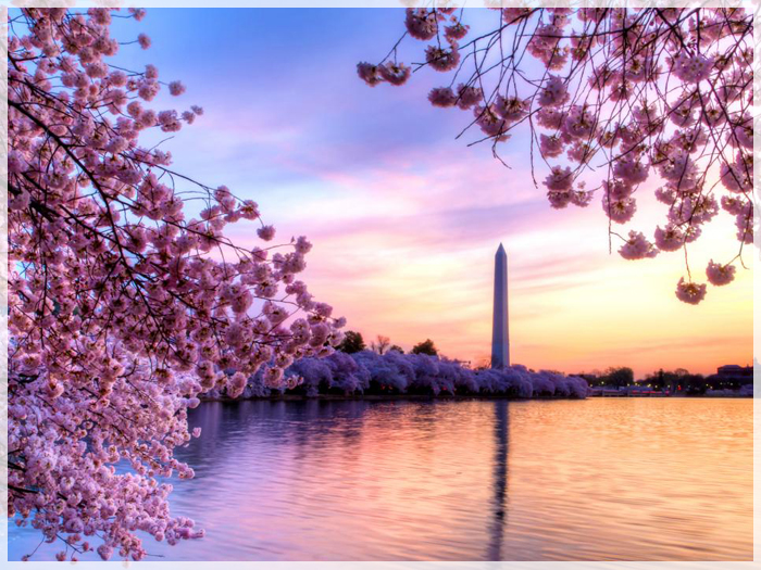 yeu-to-lua-chon-tour-du-xuan-my-hoa-anh-dao